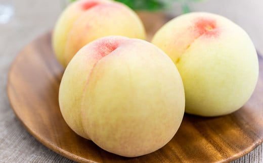 倉敷の白桃 7～8玉 約2kg 浅原選果場から直送でお届け【2025年7月上旬-8月下旬 発送予定】