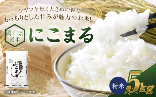 岡山県産米にこまる5kg（5kg×1袋）