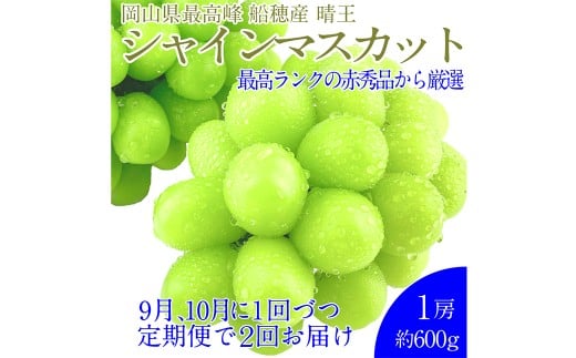赤秀ぶどう プレミアム シャインマスカット 晴王 1房 約600g