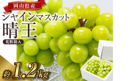 【先行予約】岡山県産 シャインマスカット 『晴王』 2房（1房600g以上）化粧箱入り【2026年8月下旬～10月上旬まで順次発送予定】【シャインマスカット フルーツ 国産 人気 おすすめ 岡山県 倉敷市】