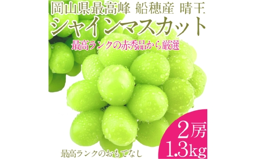 プレミアム シャインマスカット 晴王 2房 約1.3kg 種無し 皮ごと食べる フレッシュ 旬の美味しさ【2026年9月上旬-10月下旬 発送予定】【シャインマスカット マスカット ぶどう 葡萄 岡山県産 種無し 皮ごと食べる みずみずしい 9月～10月お届け フレッシュ 晴れの国おかやま 果物大国 贈答品 彩美菜果 岡山県 倉敷市】
