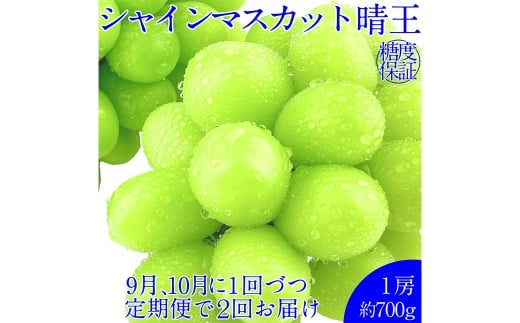 晴王 シャインマスカット晴王 1房 約700g