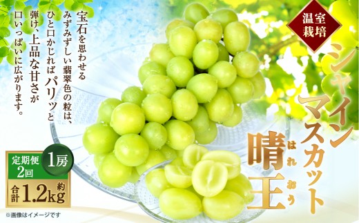 温室 シャインマスカット 晴王 1房 約600g