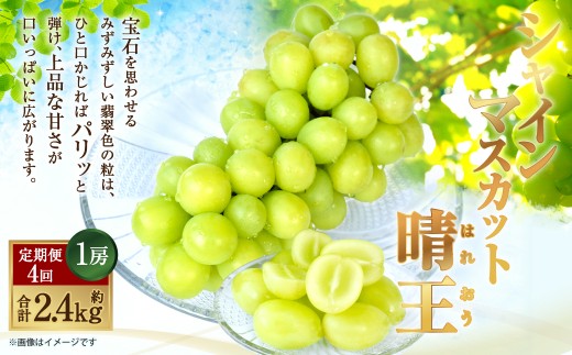 温室 シャインマスカット 晴王 1房 約600g