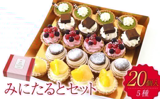 みにたると20個セット【ケーキ タルト フルーツ スイーツ フルーツタルト 人気スイーツ 人気タルト 岡山県 倉敷市 おすすめ 人気】