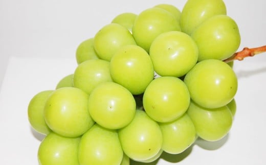 果物詰合せ （岡山白桃 2玉（1玉 260g以上） 《等級：ロイヤル》・シャインマスカット晴王 1房（（580g以上））【2026年7月上旬～8月下旬 発送予定】【白桃 桃 もも モモ フルーツ 果物 岡山県 倉敷市 おすすめ 人気】