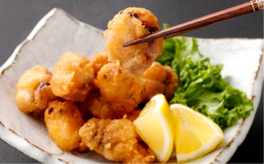 七福丸 タコ専門漁師直送！ビールに合うたこの唐揚げ2袋セット 「多幸の唐揚げ」 500g×2袋 合計1kg 【唐揚げ 揚げ物 タコ たこ 冷凍食品 冷凍便 岡山県 倉敷市 おすすめ 人気】