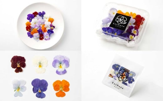 エディブルフラワービオラMIX（20輪入り）2種4パックセット【食べられるお花 栽培期間中 農薬不使用】