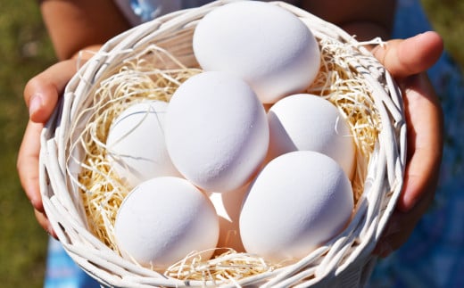 ブランド卵 満月（80個）【たまご 卵 玉子 タマゴ オムレツ 卵かけご飯 たまご焼き 満月 岡山県 倉敷市 おすすめ 人気】