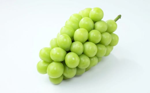 【先行予約】シャインマスカット 晴王 1房 700g以上 【2025年9月上旬-12月下旬 発送予定】【シャインマスカット シャイン マスカット 人気フルーツ 岡山フルーツ おすすめフルーツ 岡山県 倉敷市】