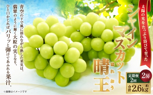 [HS]【定期便 全2回】ぶどう シャイン マスカット 晴王 2房（合計約1.3kg）