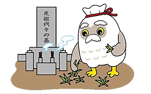 【思いやり型返礼品】墓地清掃サービス