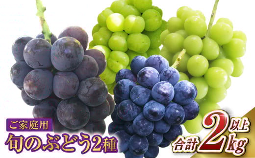 ご家庭用 旬のぶどう 2種（合計2kg以上）