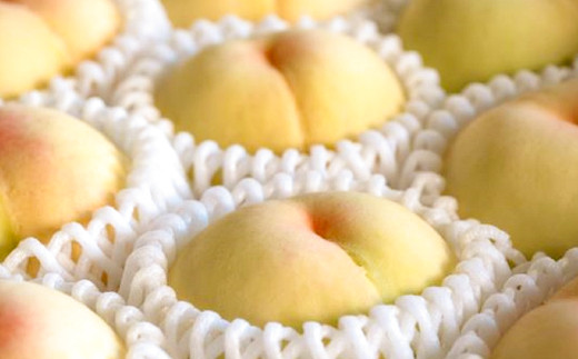 清水白桃 2キロ