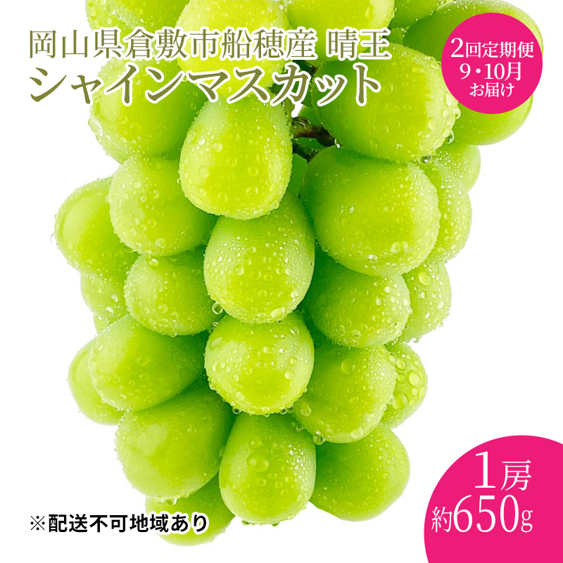 ぶどう 2024年度分 先行予約 [プレミアムシャインマスカット 晴王 1房 約650g 定期便 2回 総合計1.3kg]船穂産 赤秀品以上 岡山県産 葡萄 ブドウ ギフト ハレノフルーツ 皮ごと食べる みずみずしい