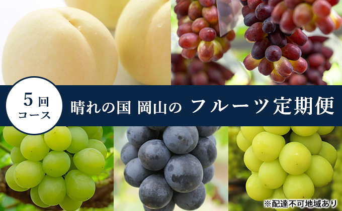フルーツ 定期便 5回コース 晴れの国 岡山 岡山県産 桃 もも 葡萄 ぶどう 果物 2023年 先行予約