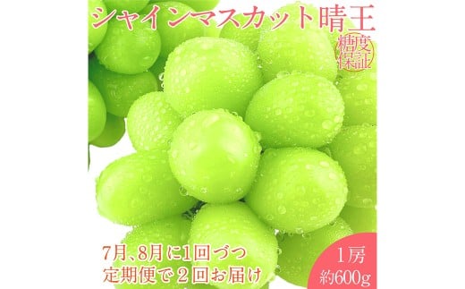 シャインマスカット 晴王 1房 約600g