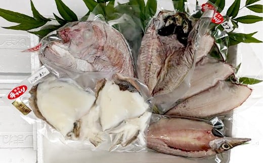 【倉敷市下津井産】おまかせ一夜干し5点セット