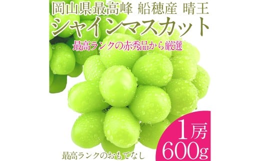 プレミアムシャインマスカット晴王 船穂Ver 赤秀ぶどう1房 約600g