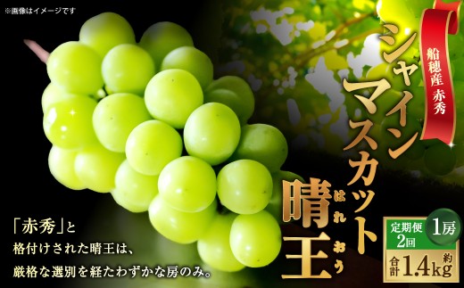 [HS]【定期便 全2回】ぶどう 最高級品シャイン マスカット 晴王 1房 約700g