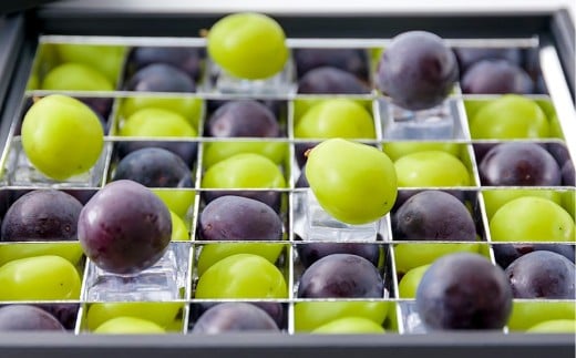 ぶどうの宝石箱（シャインマスカットとニューピオーネ又はオーロラブラック）36粒