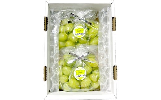 【訳あり】家庭用シャインマスカット摘み落とし 1kg以上