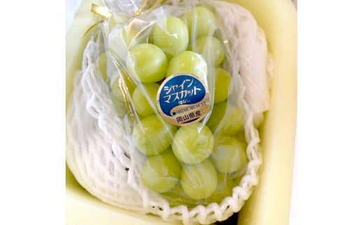 【訳あり】家庭用シャインマスカット 800g以上（1房）