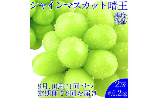 晴王 シャインマスカット晴王 2房 約1.2kg