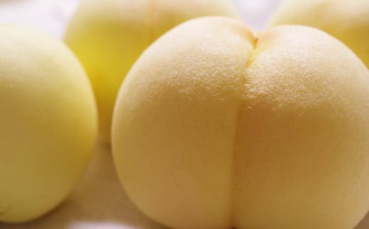 【訳アリ家庭用】清水白桃 3.6キロ