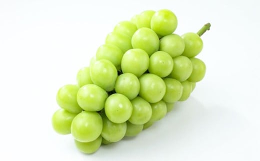 岡山県産シャインマスカット（ご家庭用）約1.2kg（2~3房）