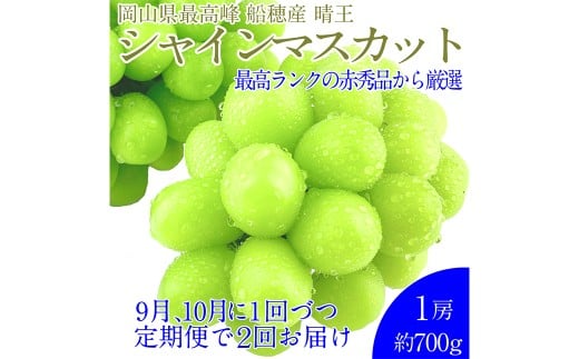 赤秀ぶどうプレミアム シャインマスカット 晴王 1房 約700g
