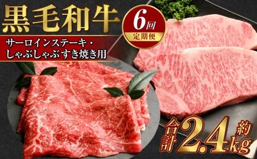 【定期便6か月】岡山 黒毛和牛 美星牛 A4等級以上 6か月定期便 合計約2400g