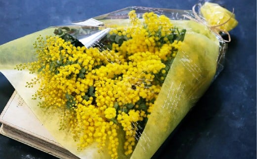 春限定！ミモザとユーカリの花束/フレッシュ