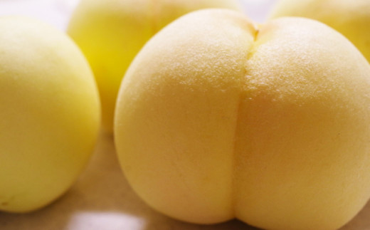 清水白桃 3.6キロ