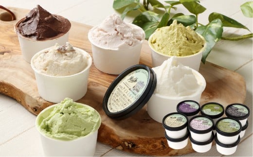 ジェラート12個セット