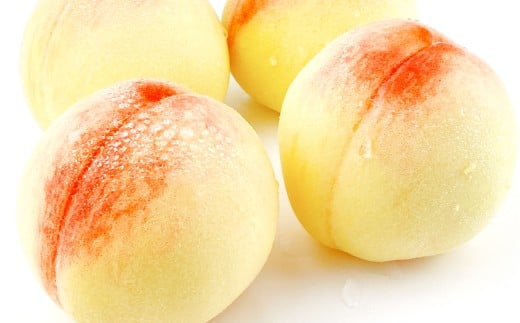 岡山匠の白桃 約1.5kg 5～6玉 ギフト