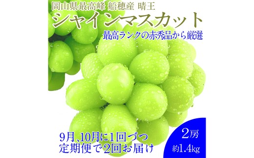 赤秀ぶどう プレミアム シャインマスカット 晴王 2房 約1.4kg