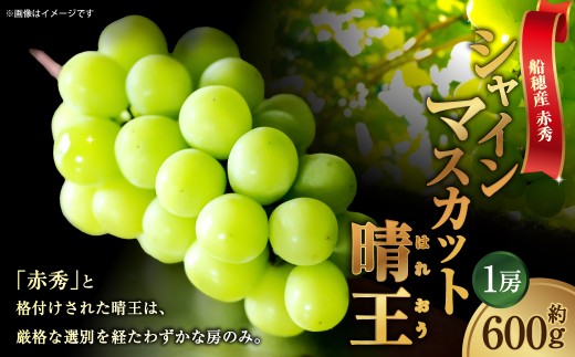 [HS]ぶどう 最高級品シャイン マスカット 晴王 1房 約600g