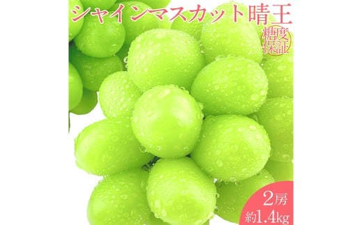 晴王 シャインマスカット晴王 2房 約1.4kg