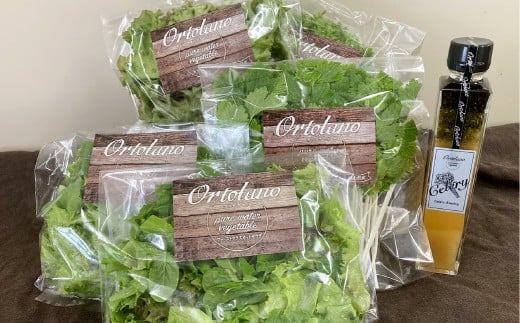 【Ortolano】ファーストクラスのサラダ＆セロリドレッシングセット S-1