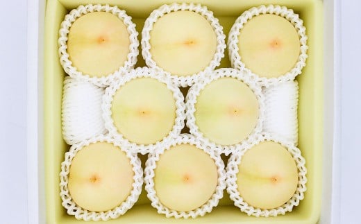 岡山白桃・晩生（ご家庭用）6～9玉入り