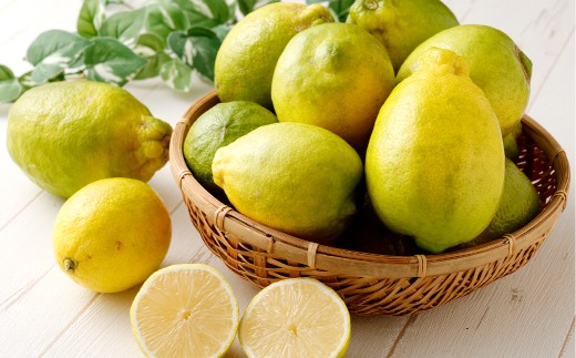 【訳あり】晴れの国レモン