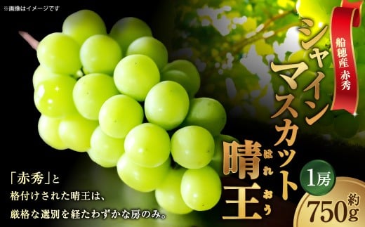 [HS]ぶどう 最高級品シャイン マスカット 晴王 1房 約750g