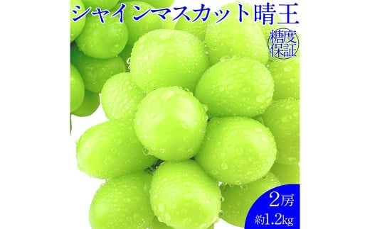 晴王 シャインマスカット晴王 2房 約1.2kg