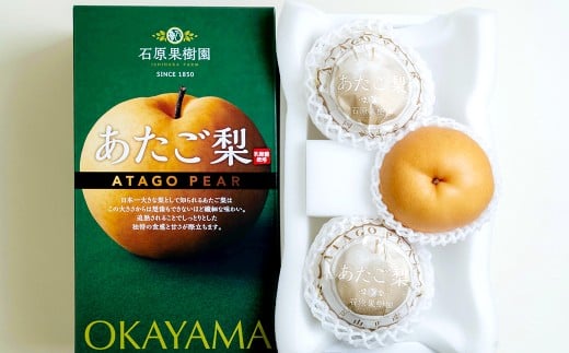 あたご梨 3～4玉 合計約1.5kg 化粧箱
