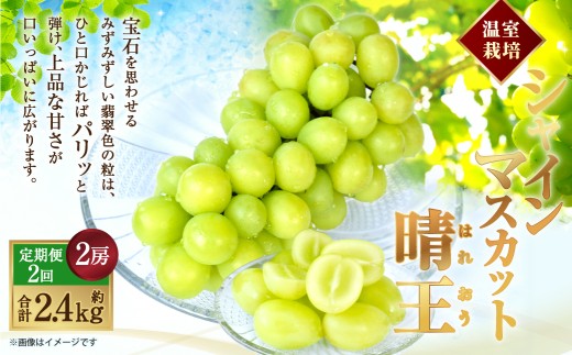 温室 シャインマスカット 晴王 2房（合計約1.2kg）