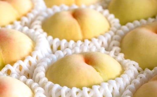 清水白桃 2キロ