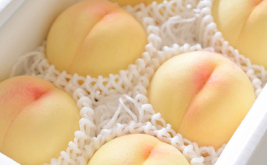 【特選】清水白桃 2キロ