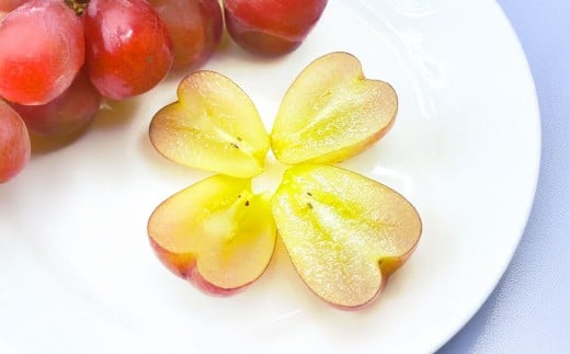 岡山県産マイハート 1房