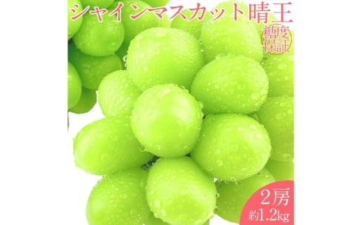 シャインマスカット 晴王 2房 約1.2kg